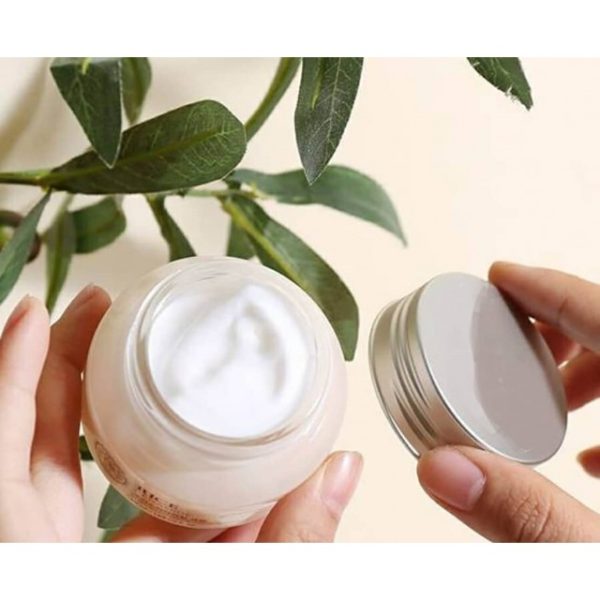 The Face Shop Rice Ceramide Moisture Cream – 50ml